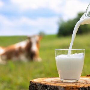 Vijay Dairy Best Milk In India