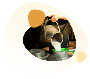 Best Practices At Vijay Dairy