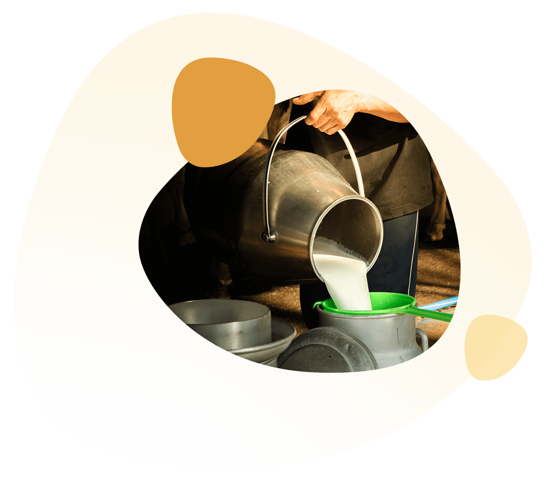 Best Practices At Vijay Dairy