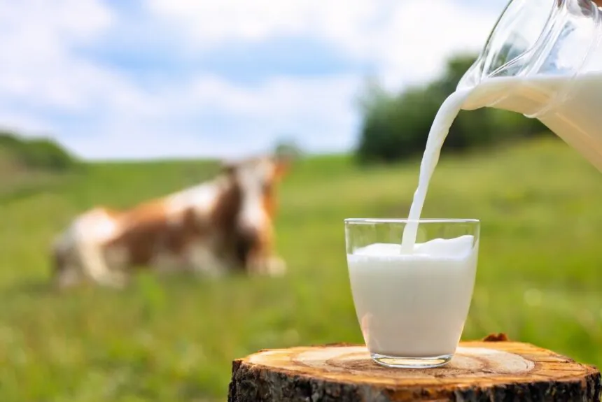 Vijay Dairy Best Milk In India